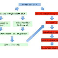 Badanie GGTP: Co oznacza podwyższony wynik i jak go obniżyć?
