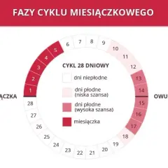 Miesiączka co 24 dni: Czy to normalne? Przyczyny i płodność