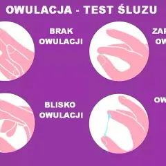 Śluz płodny: Klucz do rozpoznania owulacji i zajścia w ciążę