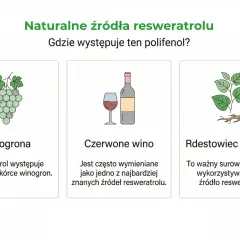 Winogrona, czerwone wino i rdestowiec japoński to naturalne źródła resweratrolu. Resweratrol na co? Warto poznać jego pochodzenie.