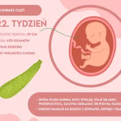 Wcześniak 22. tydzień ciąży: co musisz wiedzieć o jego życiu?