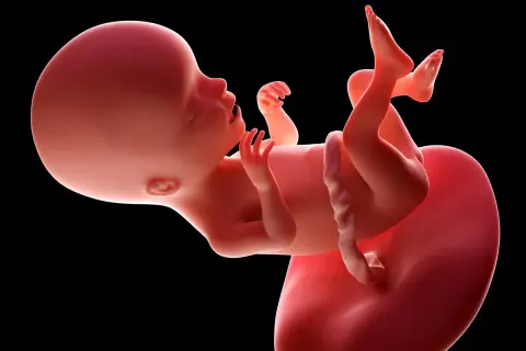 17. tydzień ciąży: Czwarty miesiąc! Odkryj sekrety rozwoju dziecka