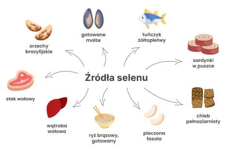 Orzechy brazylijskie, małże, tuńczyk, sardynki, stek wołowy, wątroba, ryż, fasola i chleb to źródła selenu.