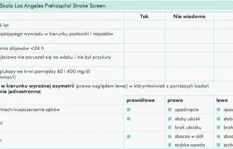 Badania po udarze mózgu: Pełna lista i harmonogram dla pacjenta