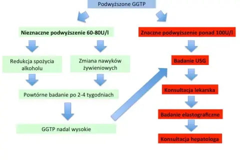 Badanie GGTP: Co oznacza podwyższony wynik i jak go obniżyć?