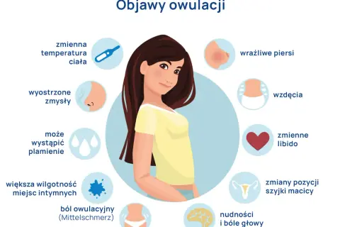 Ilustracja przedstawia kobietę otoczoną ikonami symbolizującymi objawy owulacji: termometr, piersi, serce, mózg, macicę, plamienie, wilgotność.