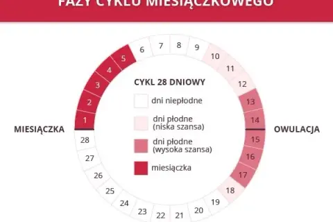 Miesiączka co 24 dni: Czy to normalne? Przyczyny i płodność