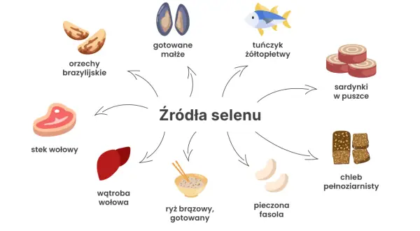 Orzechy brazylijskie, małże, tuńczyk, sardynki, stek wołowy, wątroba, ryż, fasola i chleb to źródła selenu.