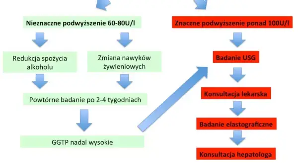 Badanie GGTP: Co oznacza podwyższony wynik i jak go obniżyć?
