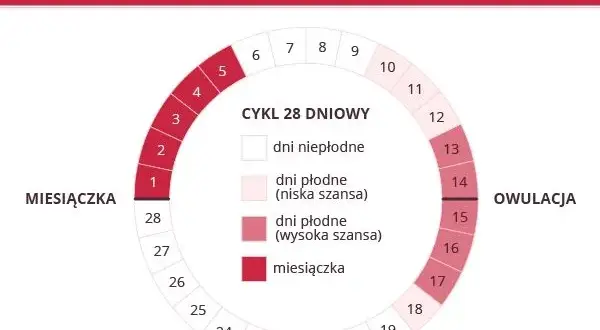 Miesiączka co 24 dni: Czy to normalne? Przyczyny i płodność