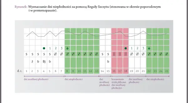 Owulacja po odstawieniu tabletek: Kiedy wróci? Rozpoznaj sygnały!