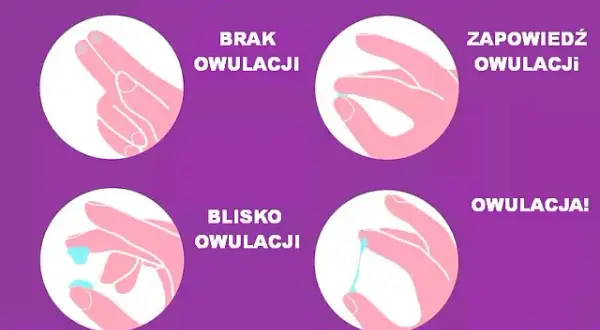 Śluz płodny: Klucz do rozpoznania owulacji i zajścia w ciążę