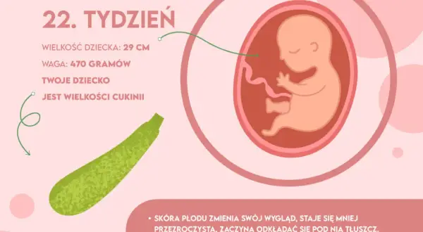 Wcześniak 22. tydzień ciąży: co musisz wiedzieć o jego życiu?