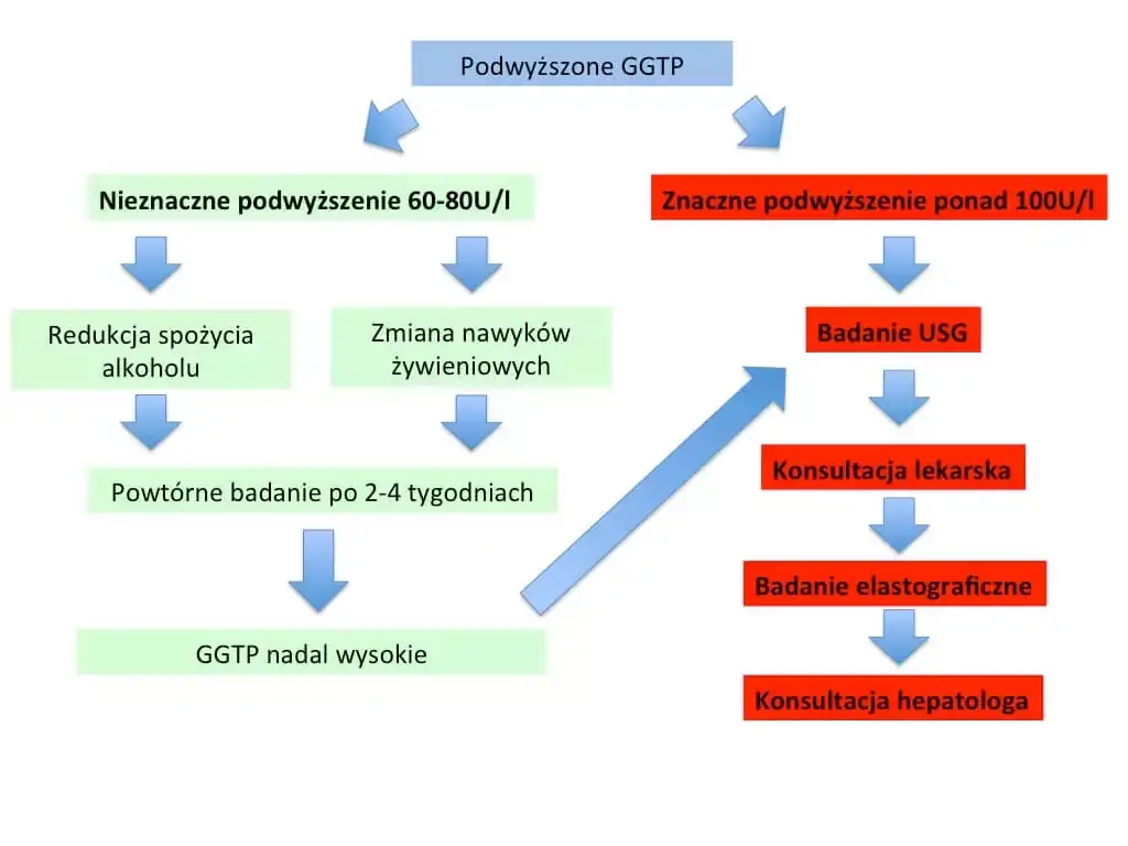 Badanie GGTP: Co oznacza podwyższony wynik i jak go obniżyć?