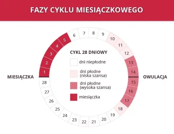 Miesiączka co 24 dni: Czy to normalne? Przyczyny i płodność