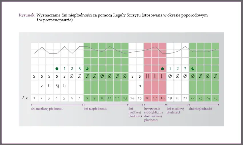 Owulacja po odstawieniu tabletek: Kiedy wróci? Rozpoznaj sygnały!