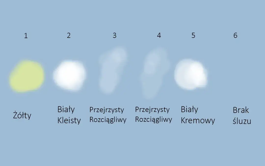 śluz ciążowy wygląd konsystencja