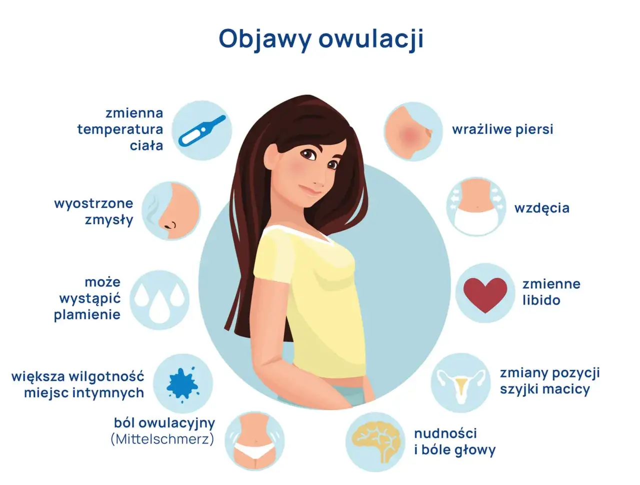 objawy owulacji grafika, śluz szyjkowy rodzaje