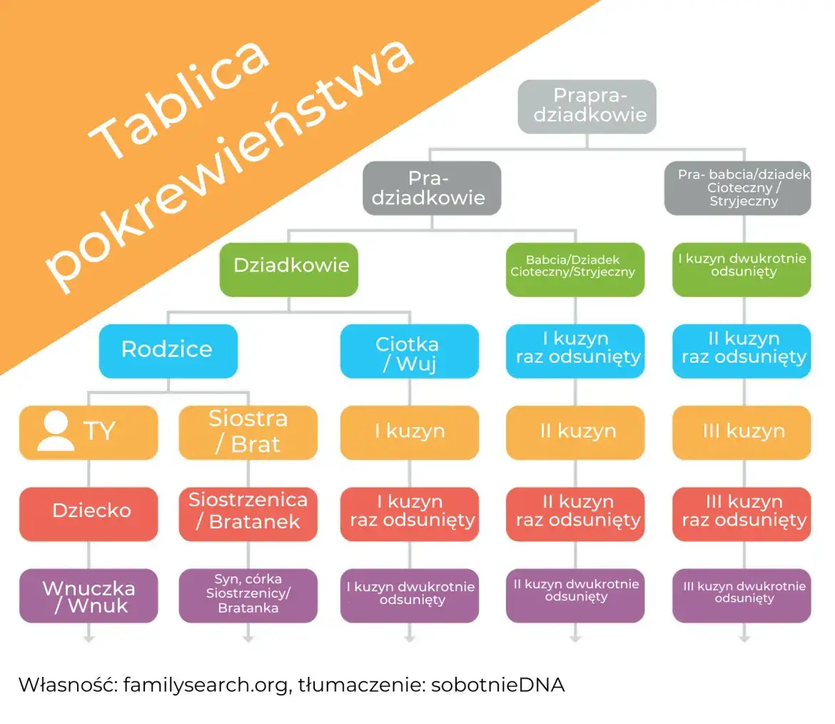 rodzina stopnie pokrewieństwa diagram