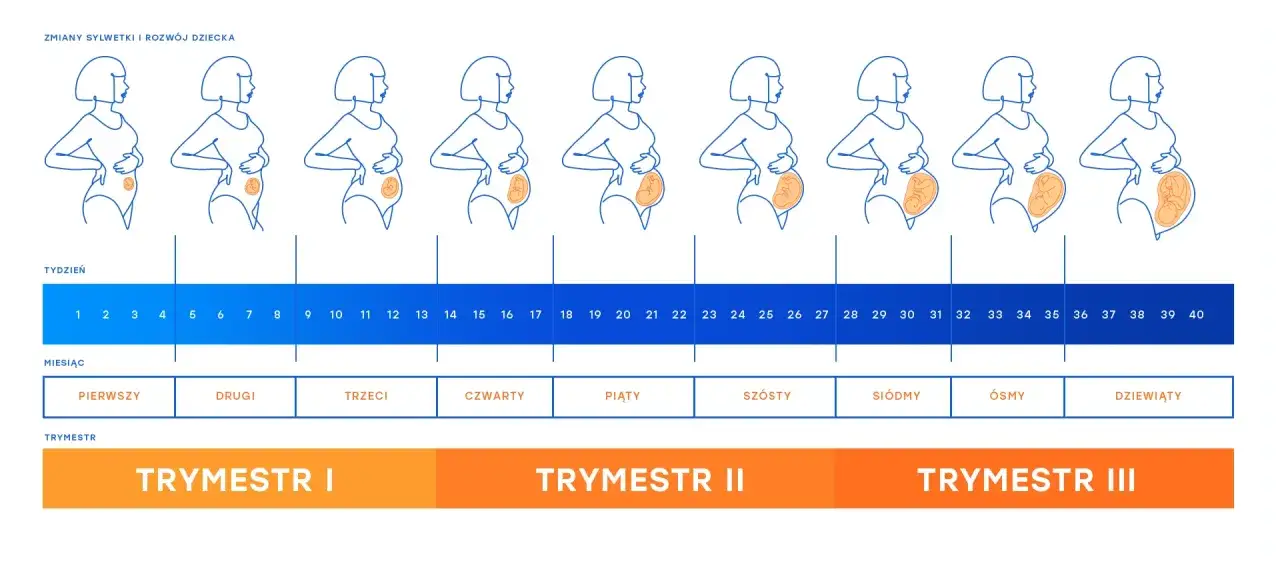kalendarz ciąży tydzień po tygodniu