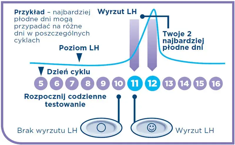 testy owulacyjne i monitor cyklu