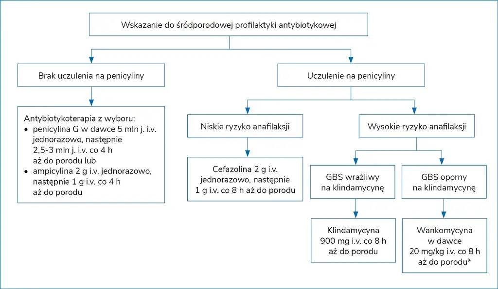 profilaktyka antybiotykowa GBS poród