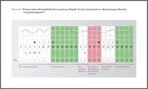 Owulacja po odstawieniu tabletek: Kiedy wróci? Rozpoznaj sygnały!