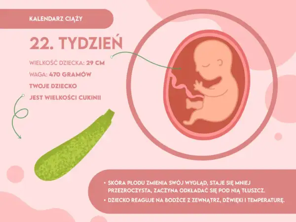 Wcześniak 22. tydzień ciąży: co musisz wiedzieć o jego życiu?